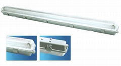 Fluorescent Lamp                