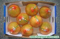 citrus fruit 2