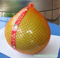 fresh pomelo fruit