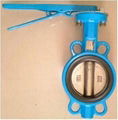 Wafer type Butterfly VALVE	 1