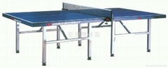 Table Tennis Table