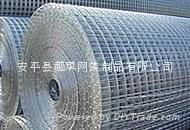 Welded Wire Mesh