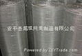 Galvanized square wire mesh 2