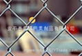 Chain Link Fence 2