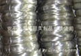 Galvanized Wire 1