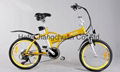 electric e-bike