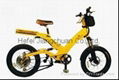 electric bike