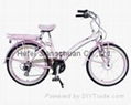 electric bicycle