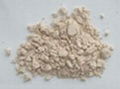 Diatomaceous Earth 3