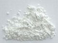 diatomite filter aid 2