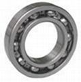 Deep Grove Ball Bearing 1