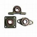 Pillow Block Bearing