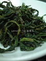 Ming Qian Green Tea 2