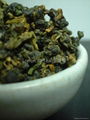 MoTein Oolong TEA