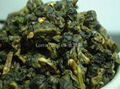 MoTein Oolong TEA 2