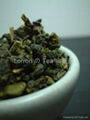 Oolong TEA 1