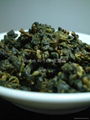 Champion Oolong TEA