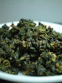  Champion Oolong TEA 2