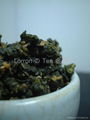 Champion Jin Xuan Oolong TEA