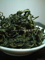 Winter Green Tea 1