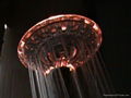 light shower head 4