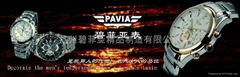 Guangzhou PAVIA EXQUISIE MFY CO.,LTD.
