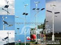 wind solar street light