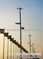 Wind Solar led street light 1