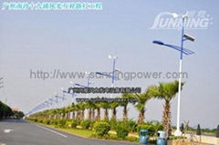 Wind Solar street light factory 