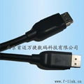 displayport cable 2