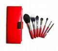 Conveniect brush sets 5