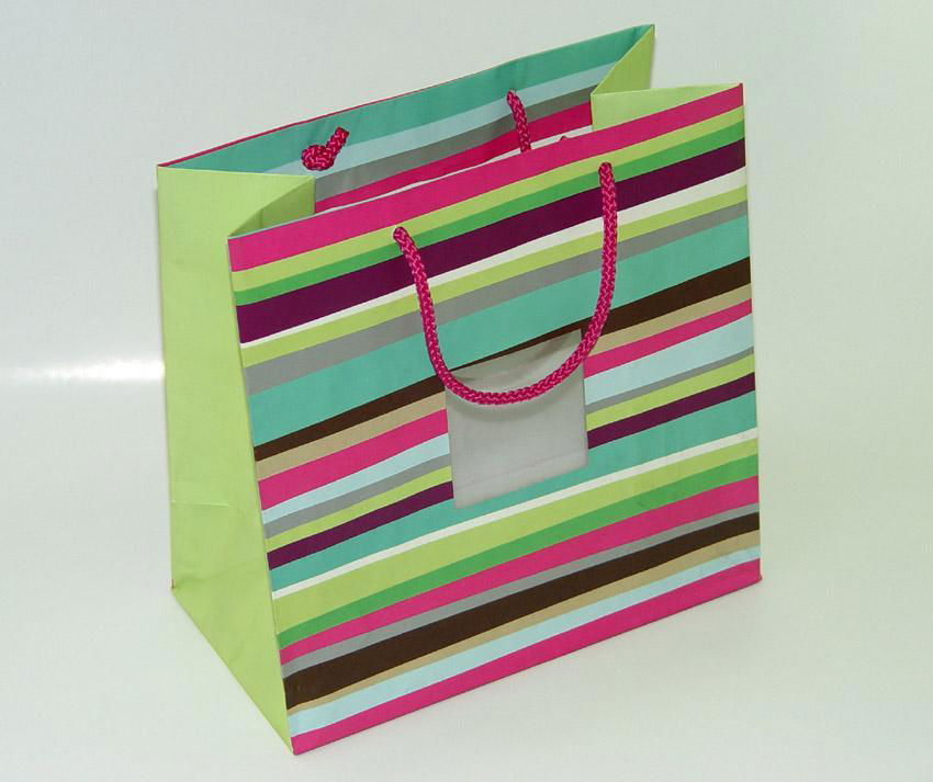 Fashion paper shopping bag 3