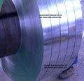 Hot Dipped Galvanized Steel Strips 1