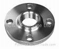 Flange stainless steel  flange 3