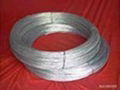 Galvanized Wire