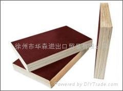 waterproof construciton material film faced plywood  4