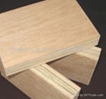 楊木多層木夾板 2