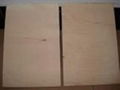 poplar/birch/hardwood plywood construction plywood 2