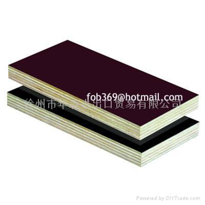 poplar/birch/hardwood plywood construction plywood 4