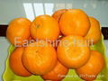 Mandarin orange (Orange, Fruit) 1