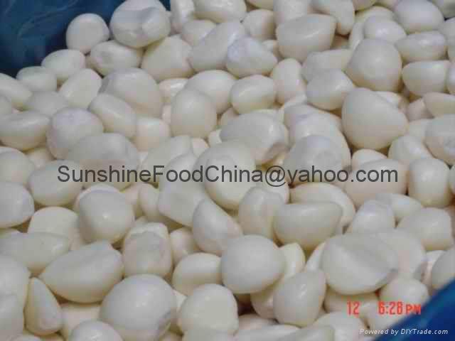 IQF GARLIC CLOVE 