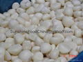 IQF GARLIC CLOVE  1