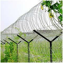 galvanized barbed iron wire