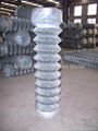 galvanized chain link fence/pvc chain