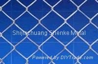 pvc chain link fence  5