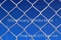 pvc chain link fence  5