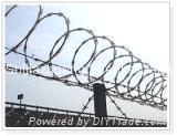 galvanized barbed iron wire 5