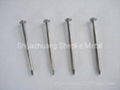 galvanized common nail