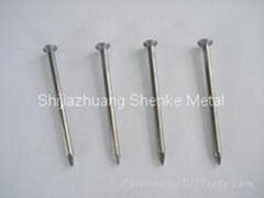 galvanized common nail