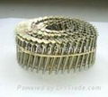 galvanized coil nail